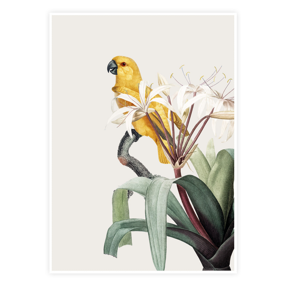 Botanisk Harmoni Plakat