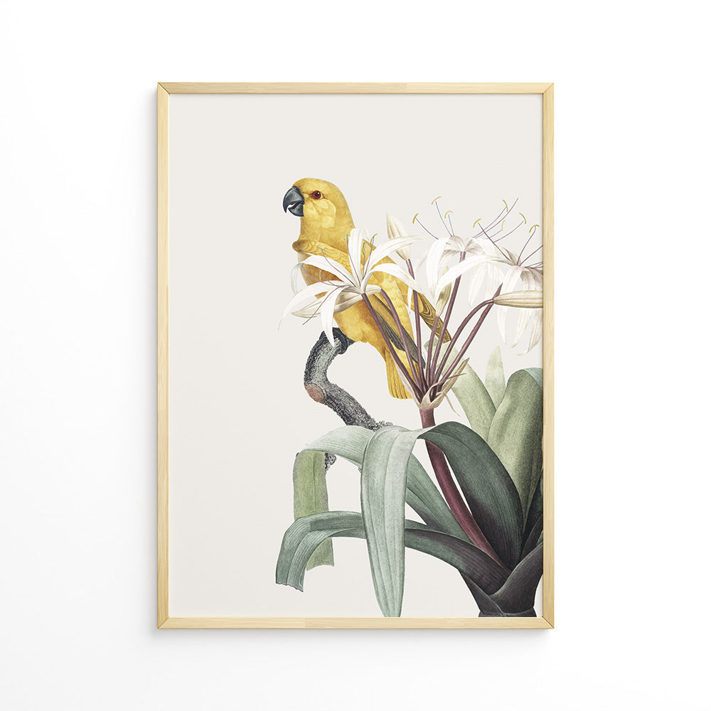 Botanisk Harmoni Plakat