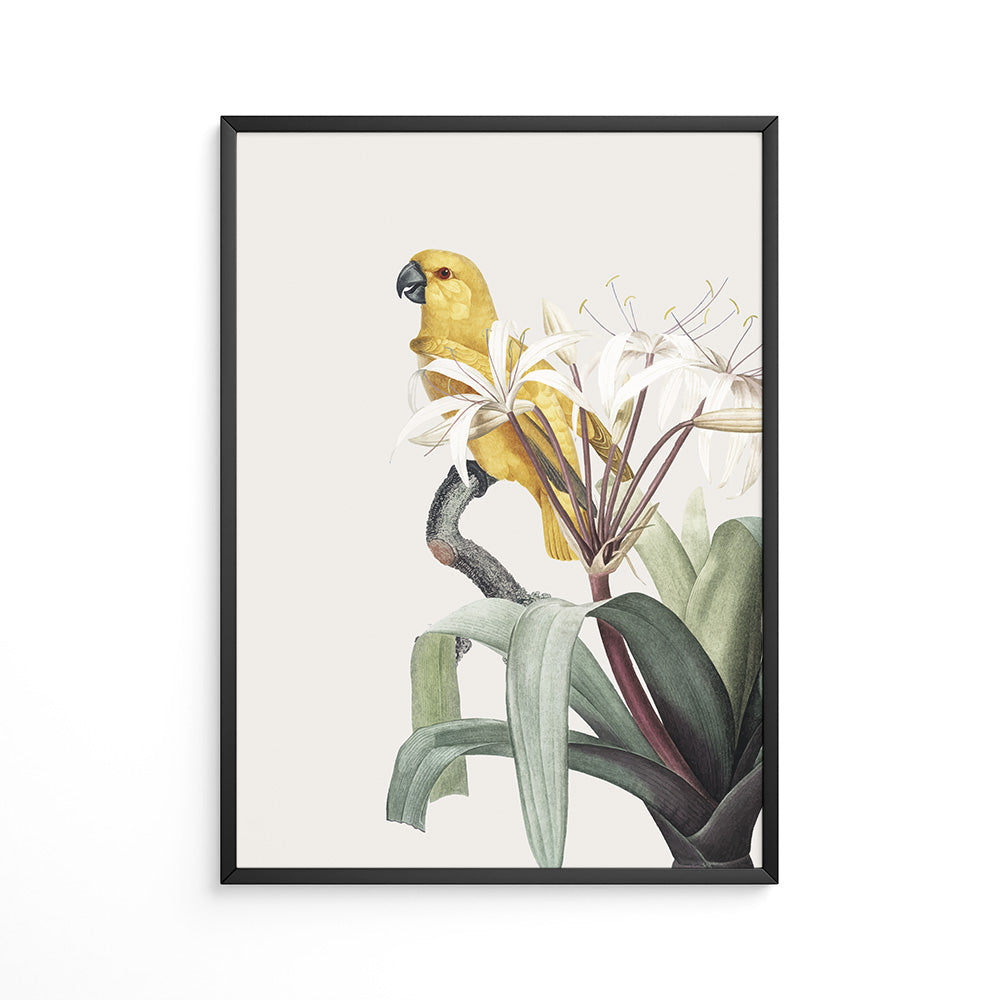 Botanisk Harmoni Plakat
