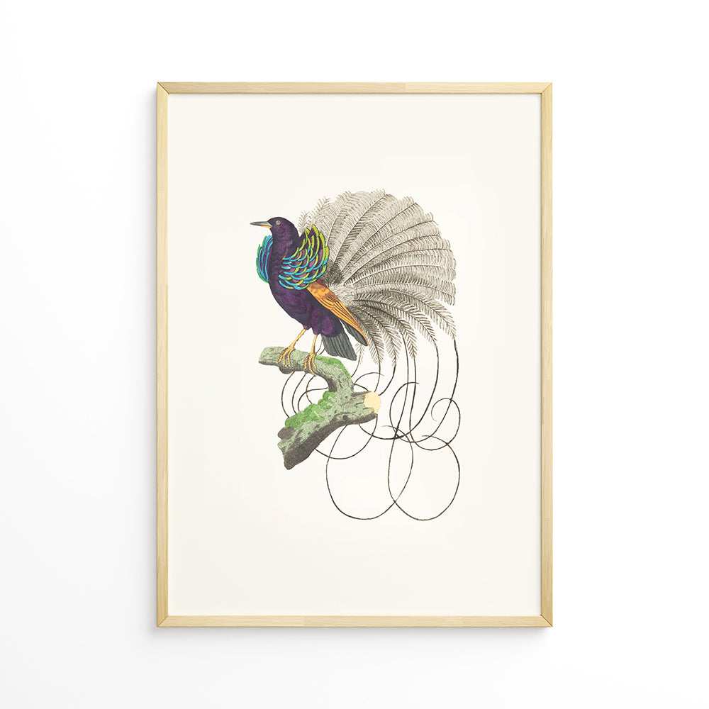 Skønheden på Grenen Plakat