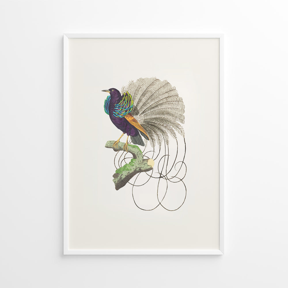 Skønheden på Grenen Plakat