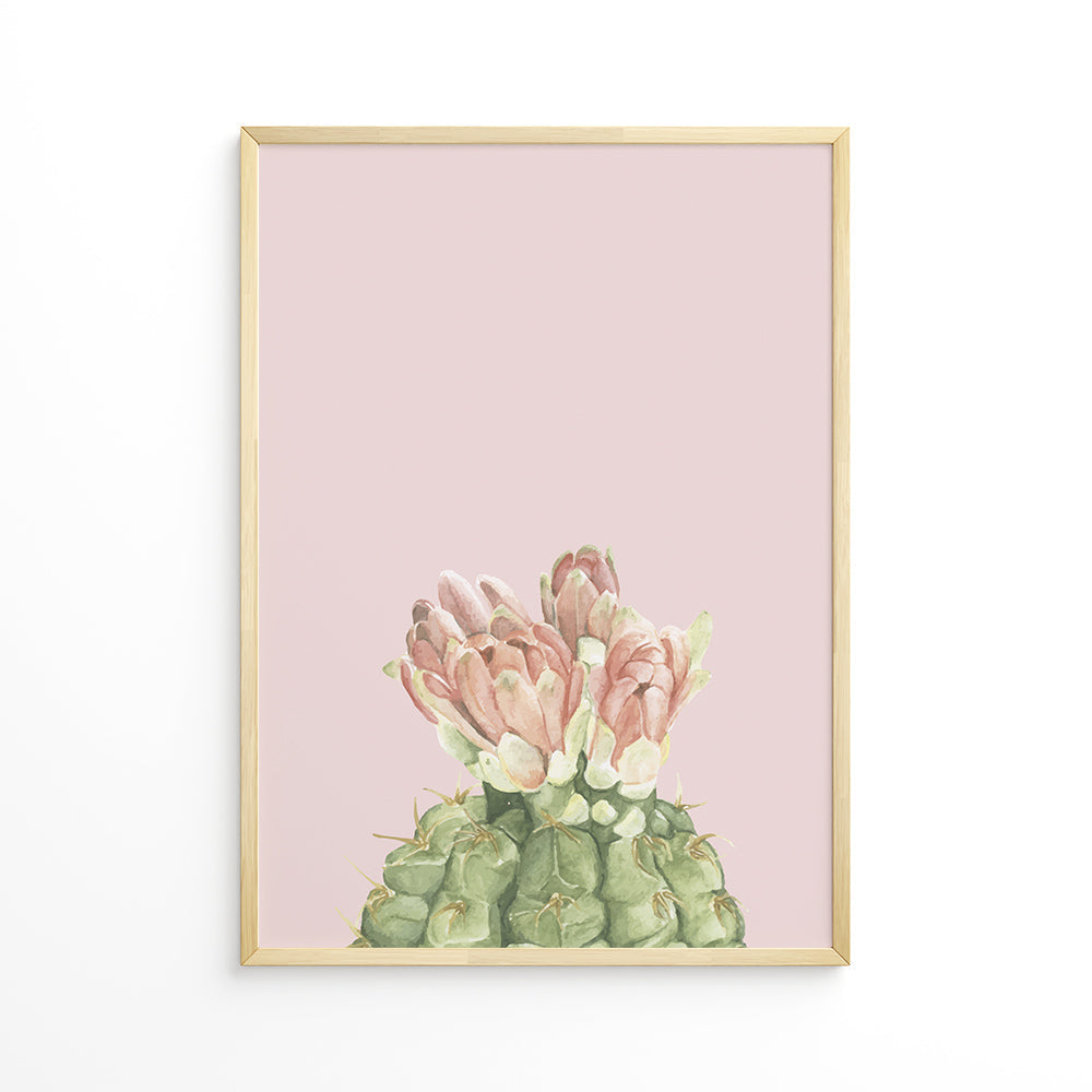 Pink Prickle Plakat