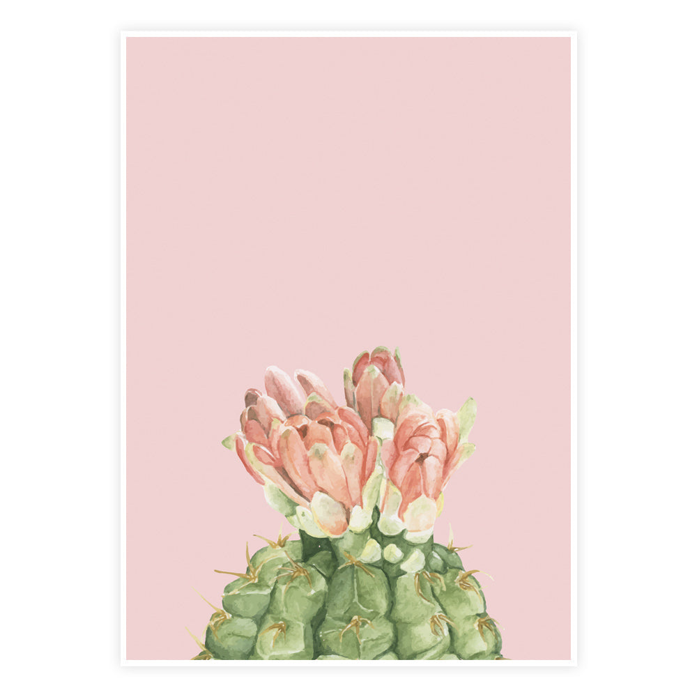 Pink Prickle Plakat