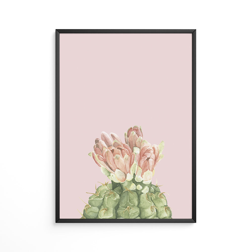 Pink Prickle Plakat