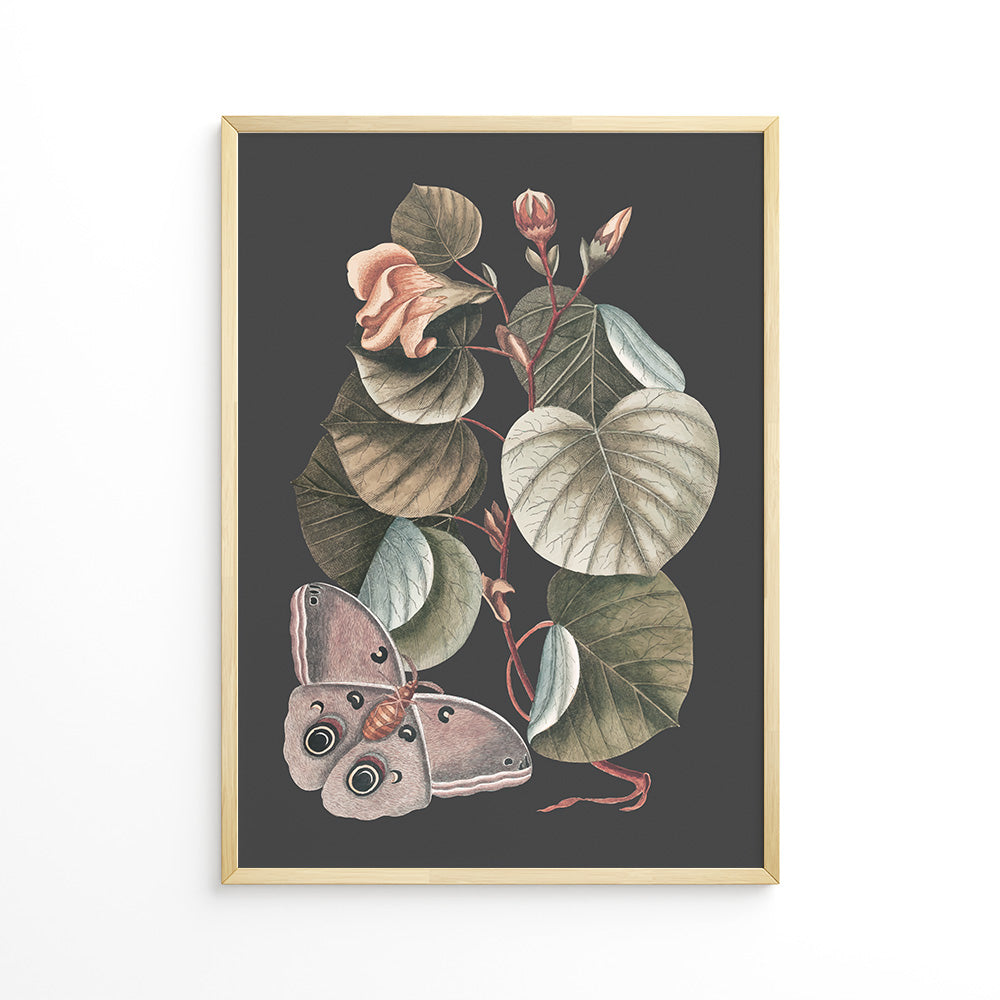 Sommerfuglens Dans Plakat