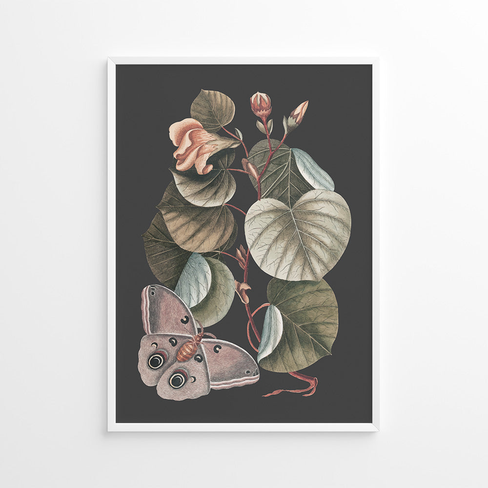 Sommerfuglens Dans Plakat