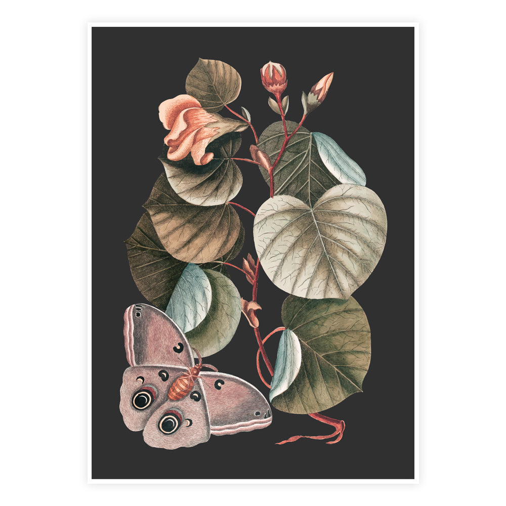 Sommerfuglens Dans Plakat