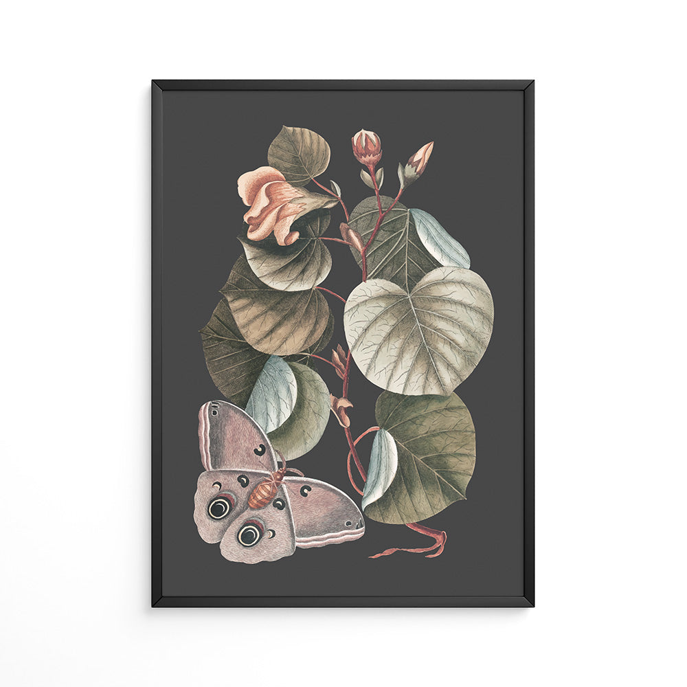 Sommerfuglens Dans Plakat