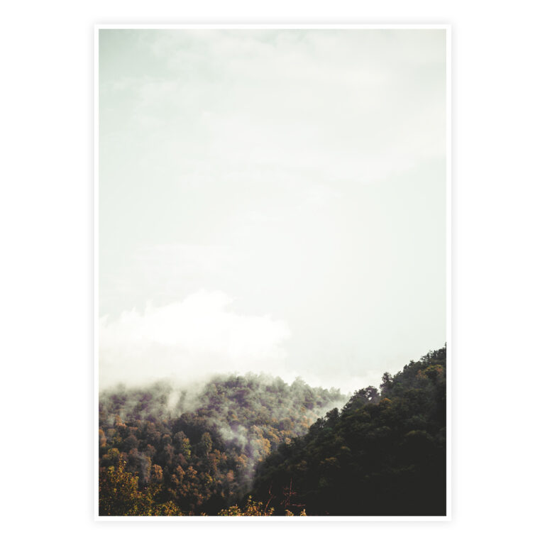 Dis over dalen plakat